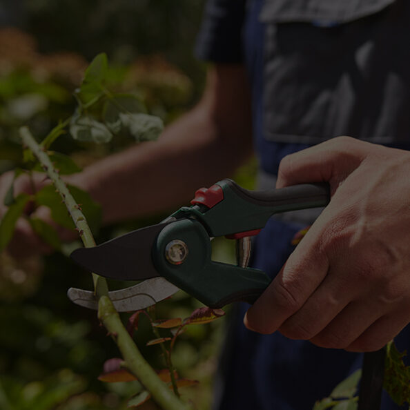Garden care landscaping Canberra Australia