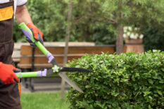 Incognito man cutting overgrown bushes.