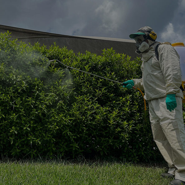 Pest & Weeds Control canbera landscaping 2